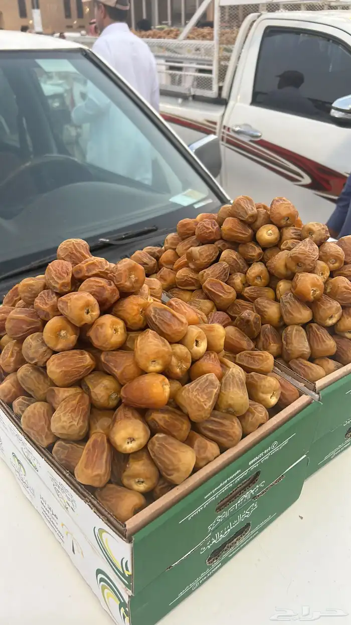 سكري نوادر ملكي مفتل و جلكسي 9