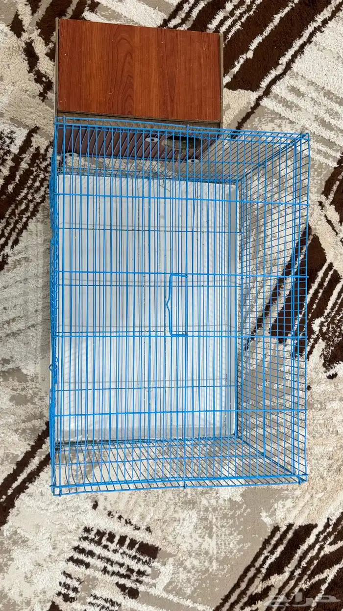 للبيع قفص كبيير مع بياضه 0