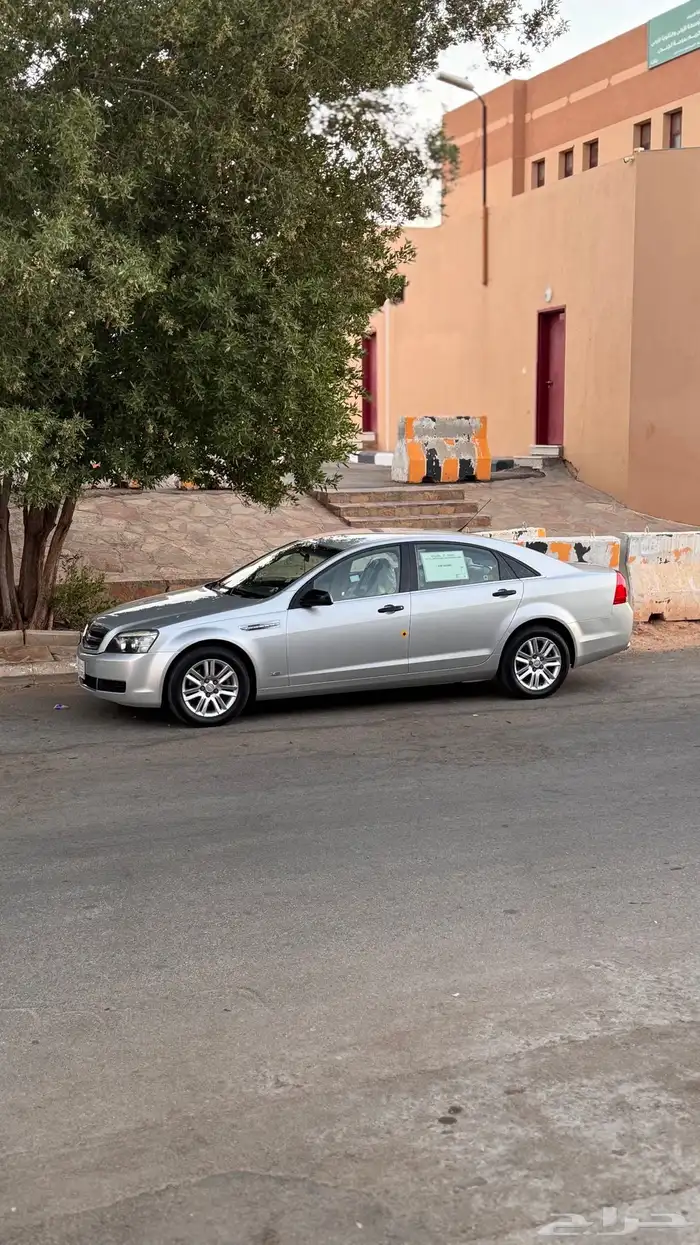 كابرس 2013 ممشى قليل 3