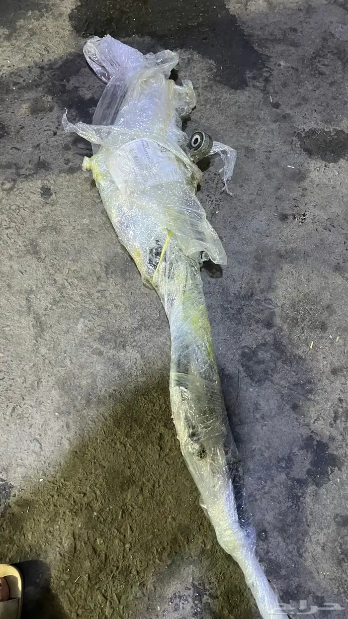 دودة دراكسون اكورد 2008 0