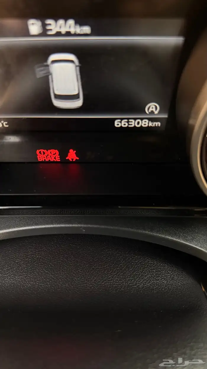 كارنيفال 2021 ( ديزل ) فل الفل بانوراما بحالة الوكالة 11