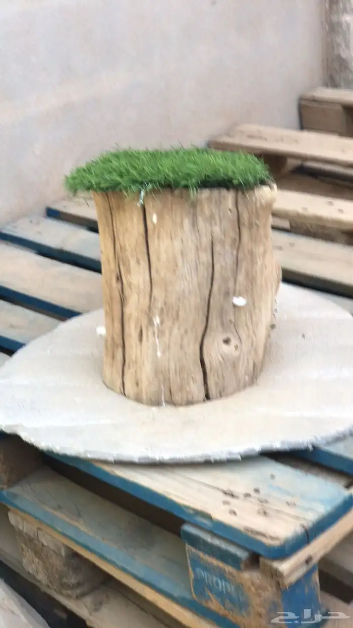 قاعده لطيور 1