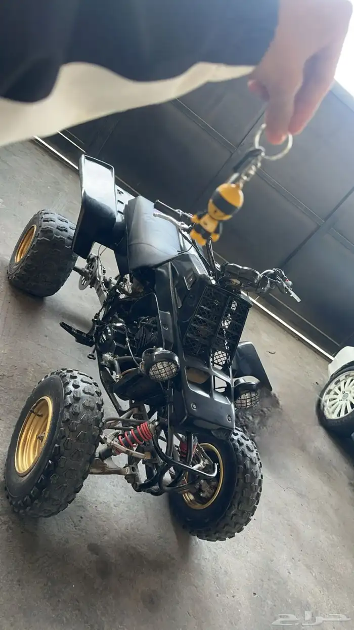 دباب بانشي 0