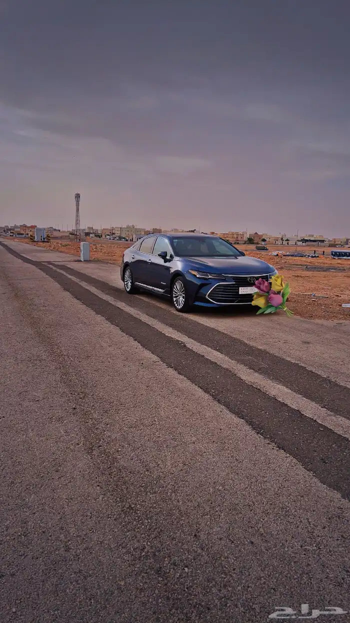 أفالون بريميوم 2022 20