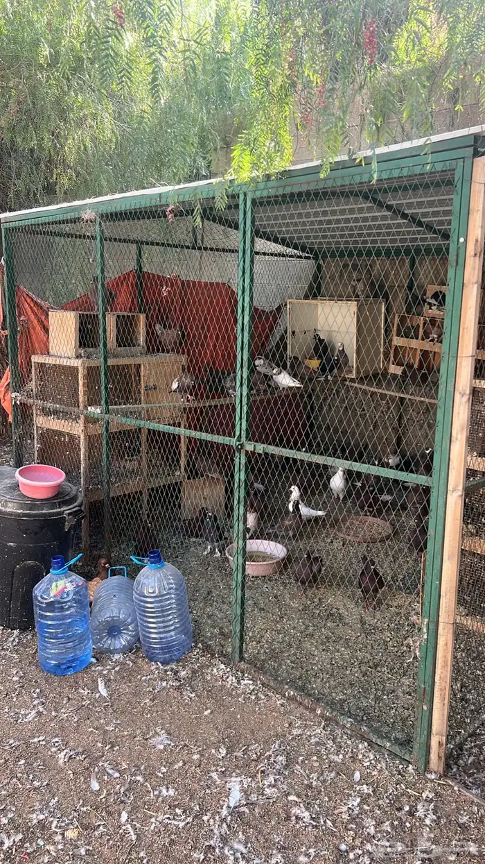 شبك 3x3 للبيع 0