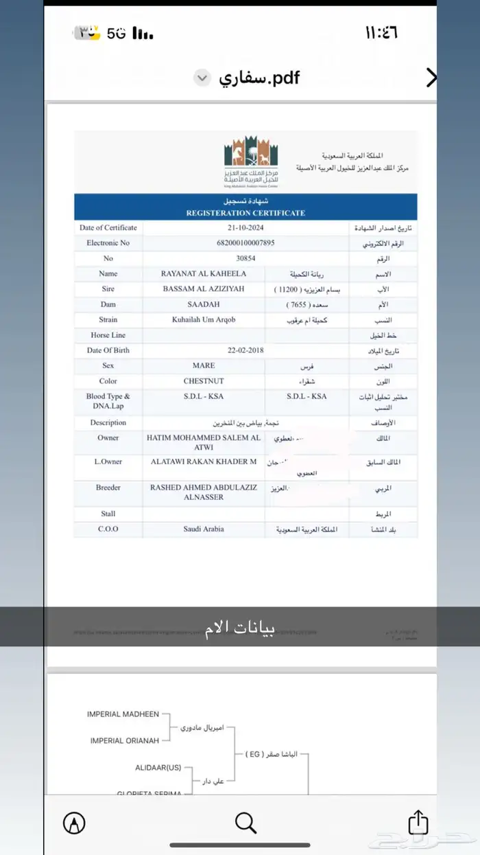 مهره عربيه ورق للبيع 5
