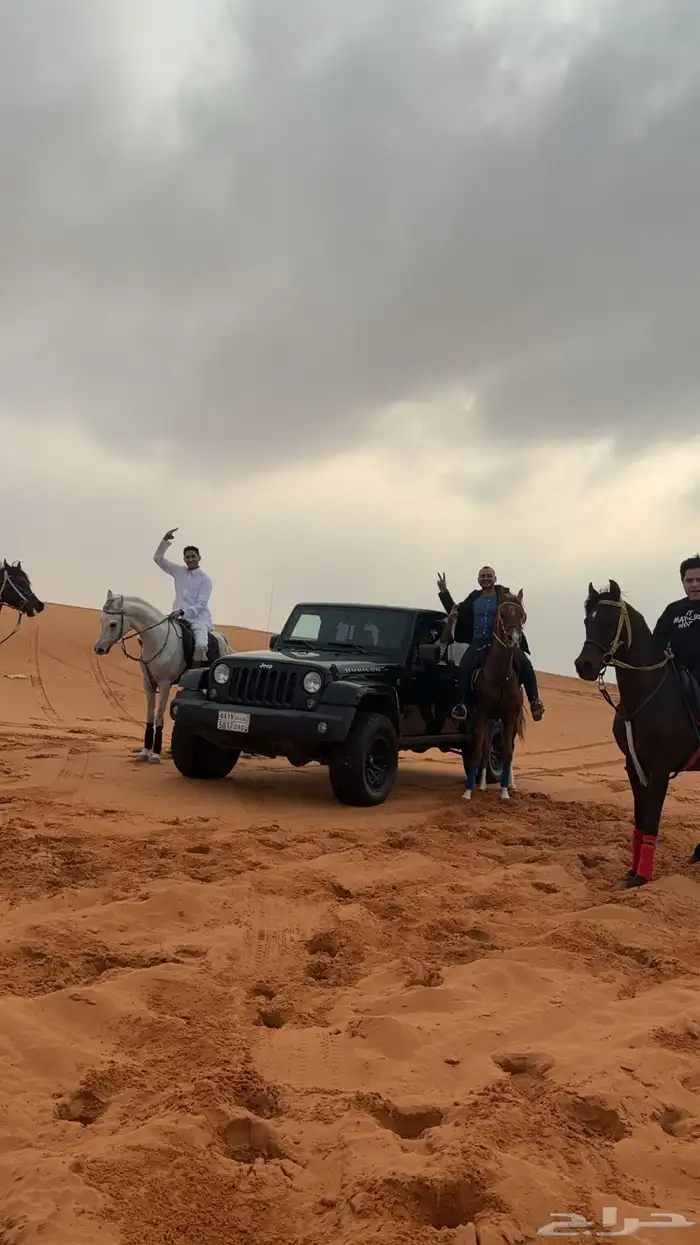 ايواء خيل اربع وجبات 900  خمس وجبات 1000 1