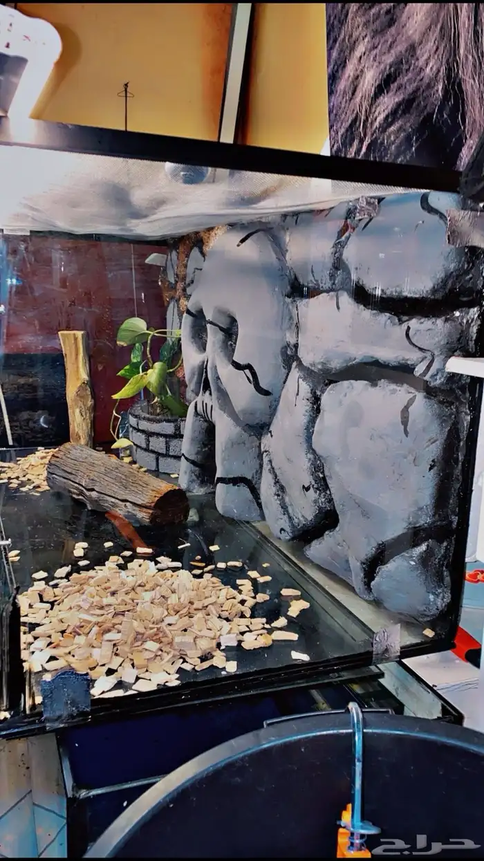 حوض سمك وزواحف تفصيل او صيانه الحوض 17