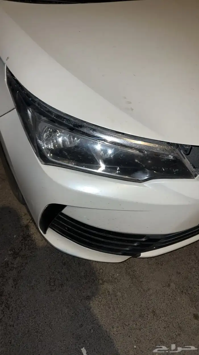 شمعه كورلاء وكبوت 1