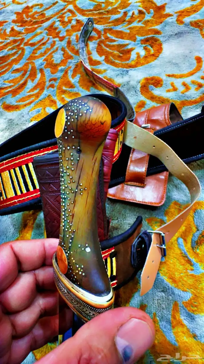 جنبيه زراف للبيع كفووو 1