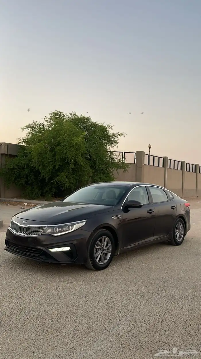 للبيع ابتما 2019 نص فل 7