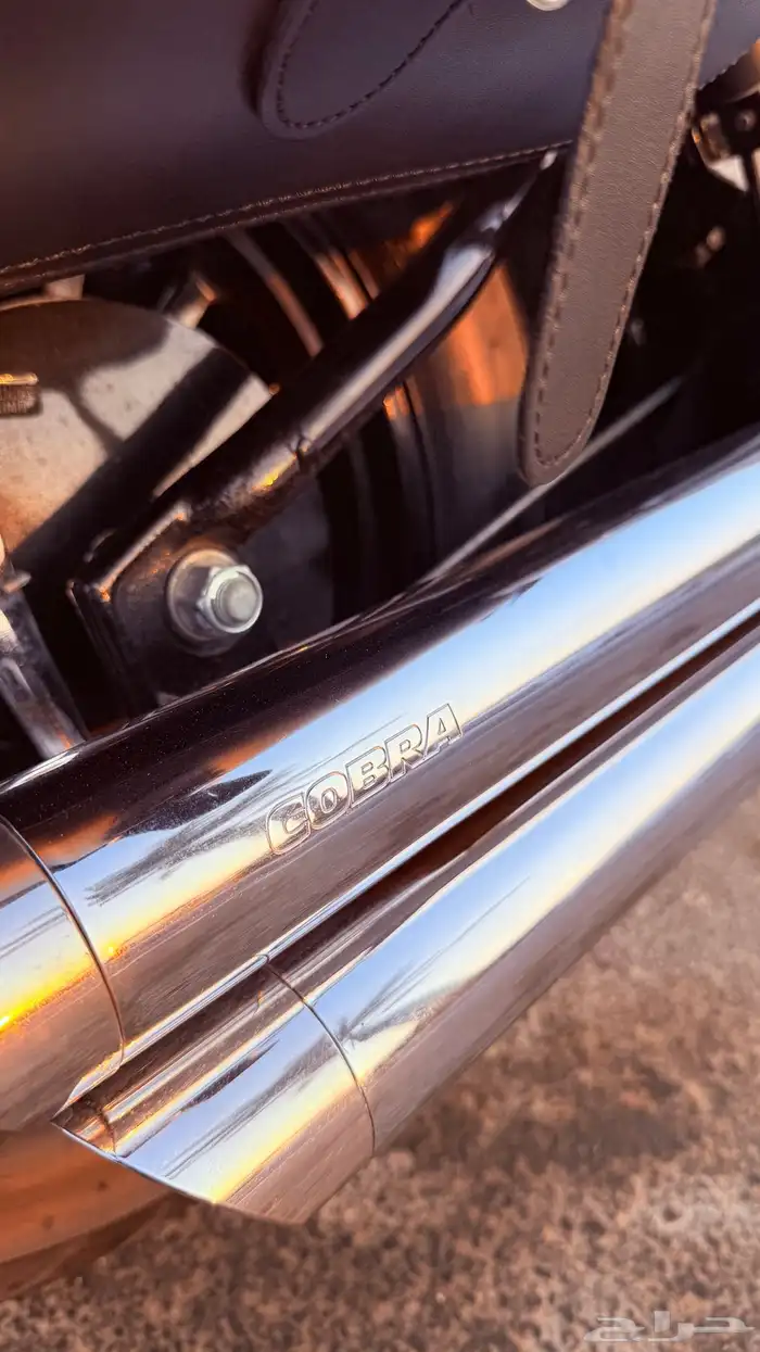 2014 Suzuki Boulevard C50 1