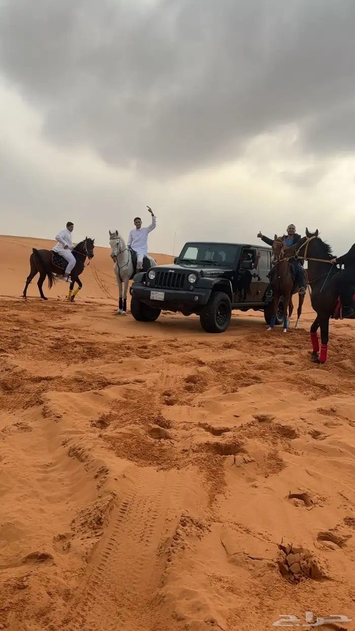 ايواء خيل اربع وجبات 900  خمس وجبات 1000 0