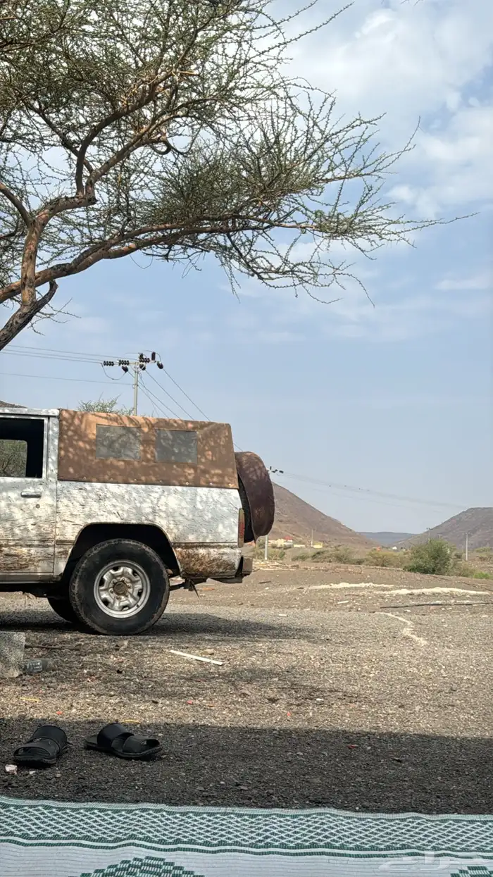 نبسان 82 مسقط 0