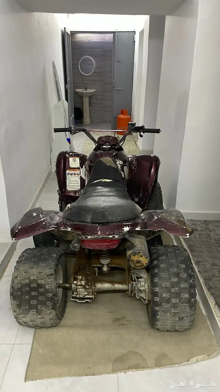 دباب z250 Suzuki 8