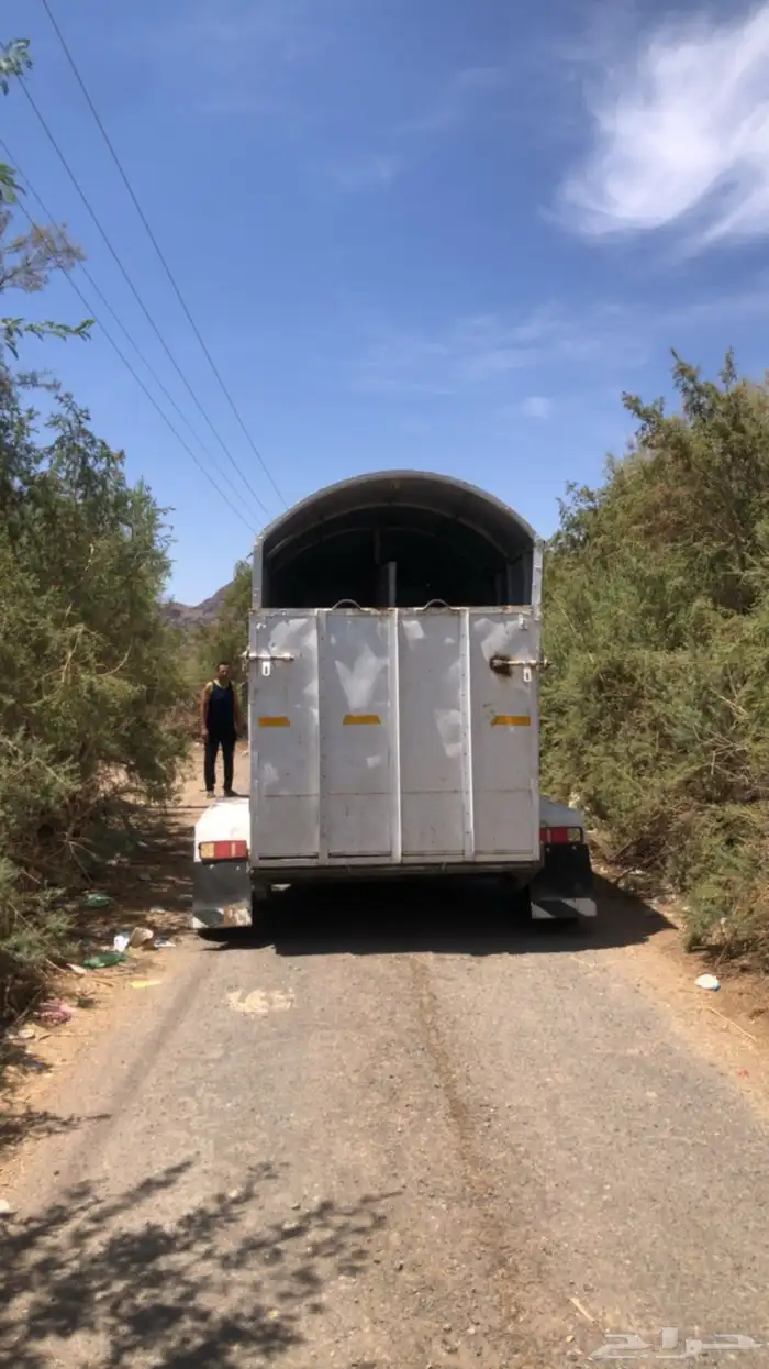 مربط العمدة 1