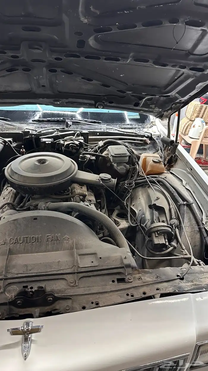 كابرس بروقهام 16