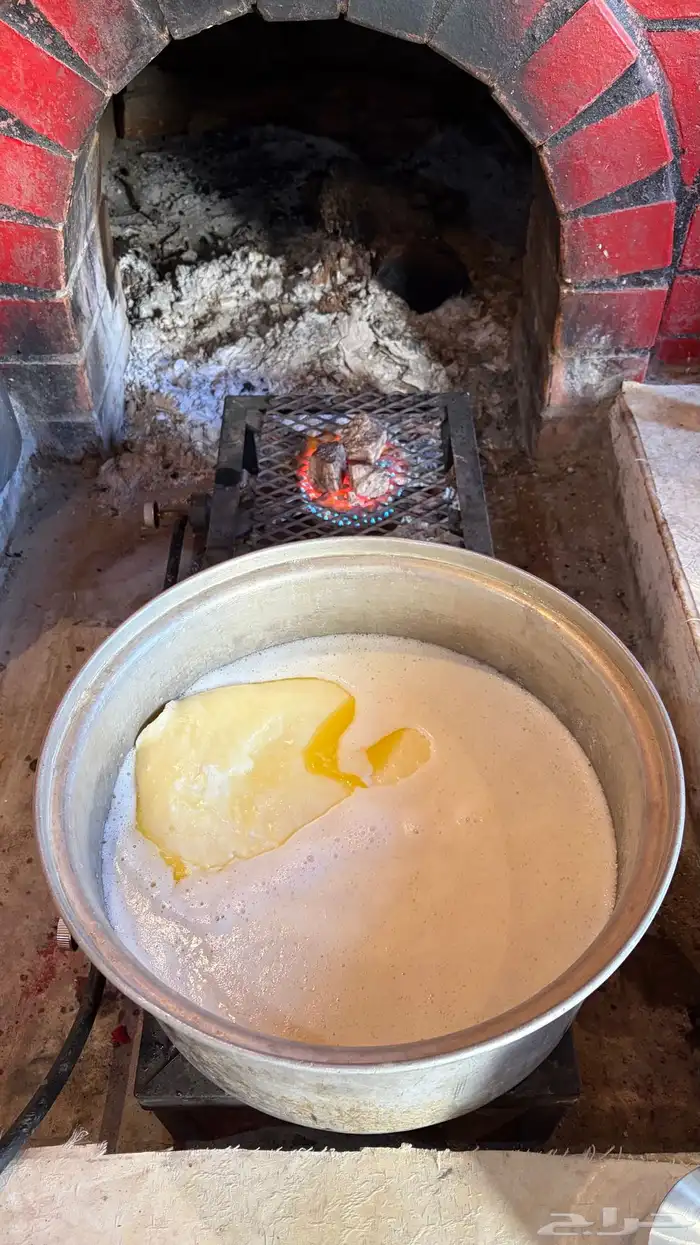 سمن بقر بلدي شغل بيت على الشرط 3