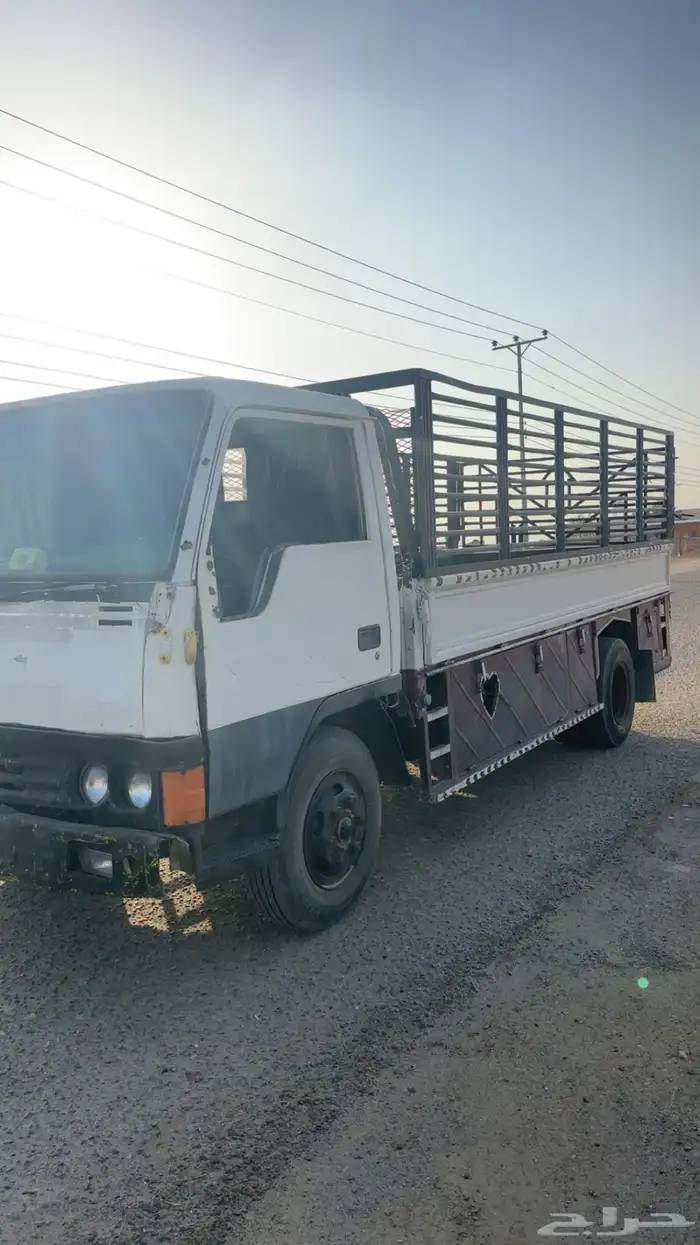 دنا شاص طويل 1