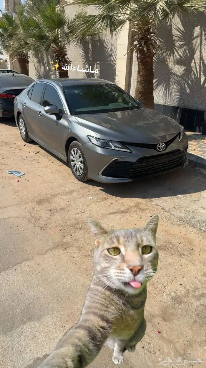 رايح الرياض يوم السبت 0