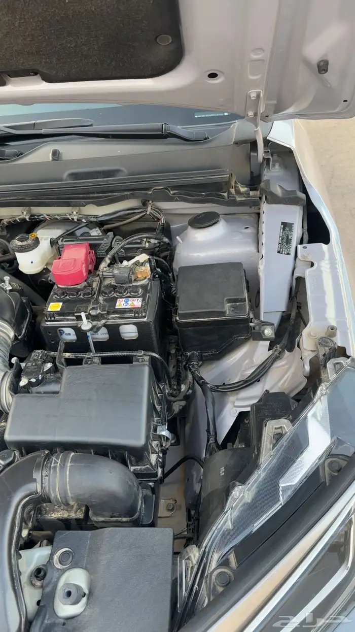 يارس 2024 وكاله عداد 17 16