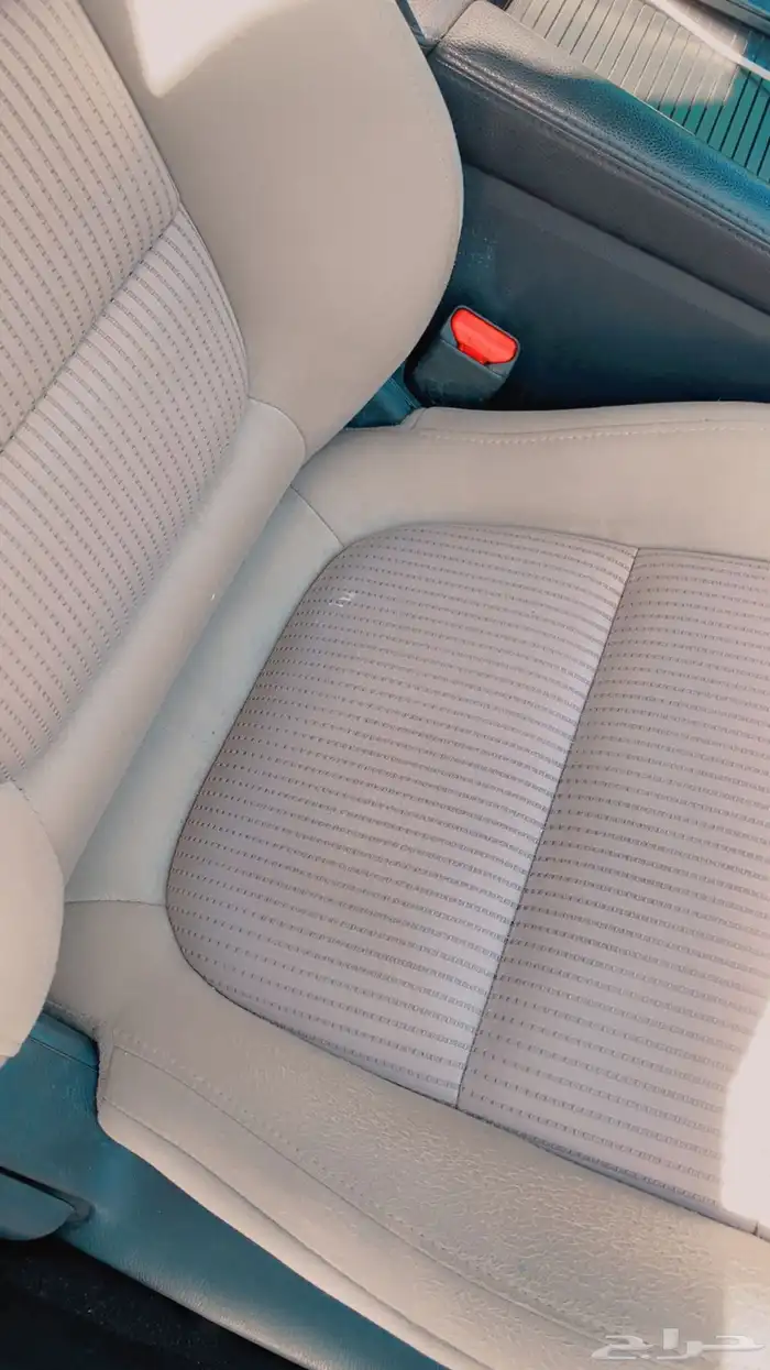 (اتصل نصل )مغسلة متنقلة بالبخار بتبوك 3