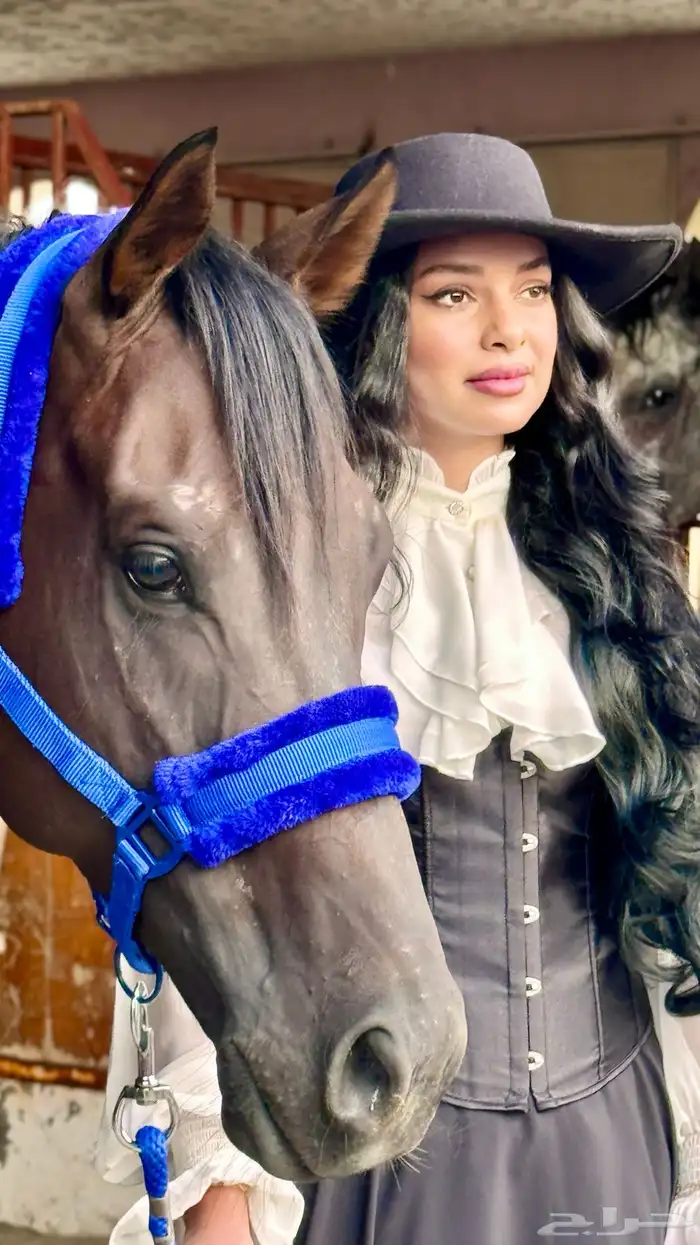 المصورة ابرار   جدة  مصورة كاميرا 0