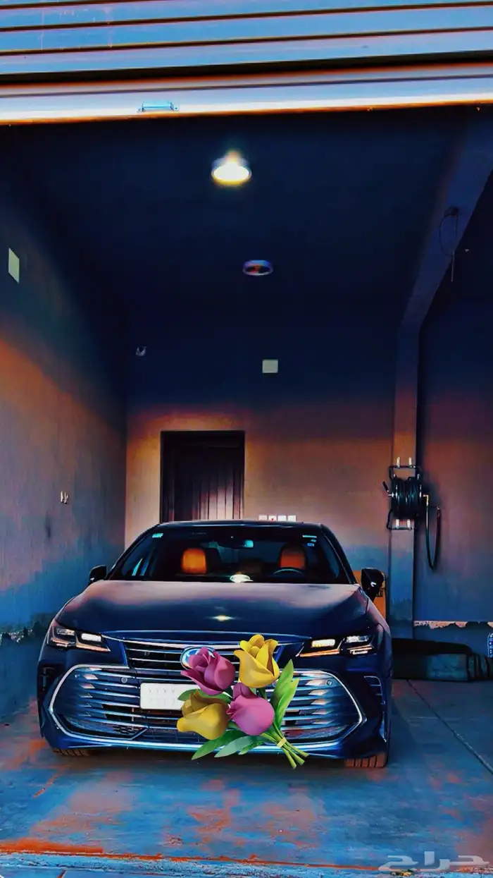 أفالون بريميوم 2022 23