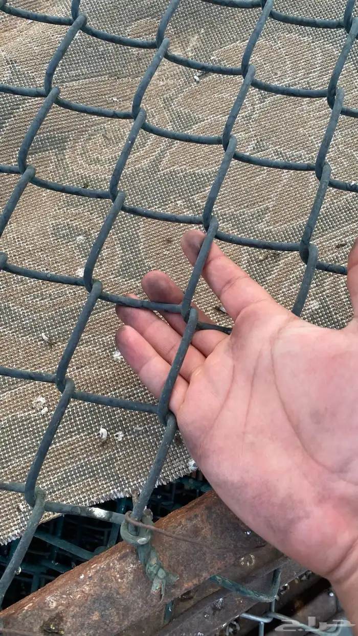 شبوك للبيع 1