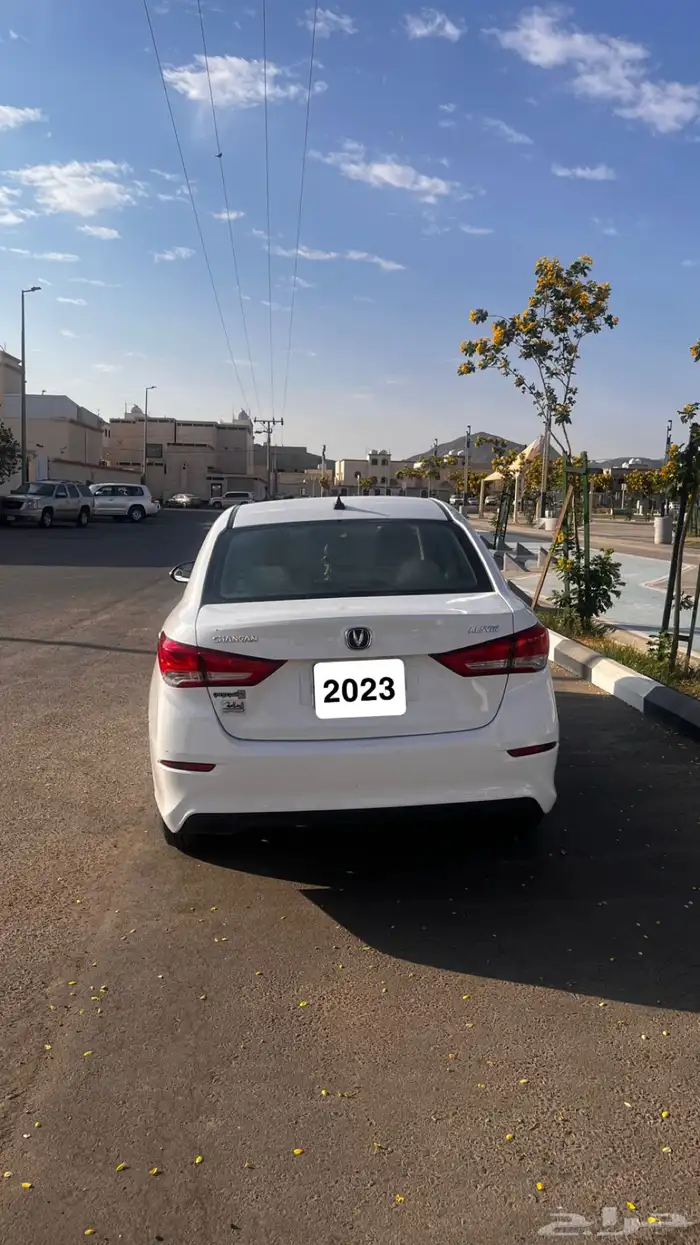 شانجان السفن 2023 نظيف ممشى قليل 4