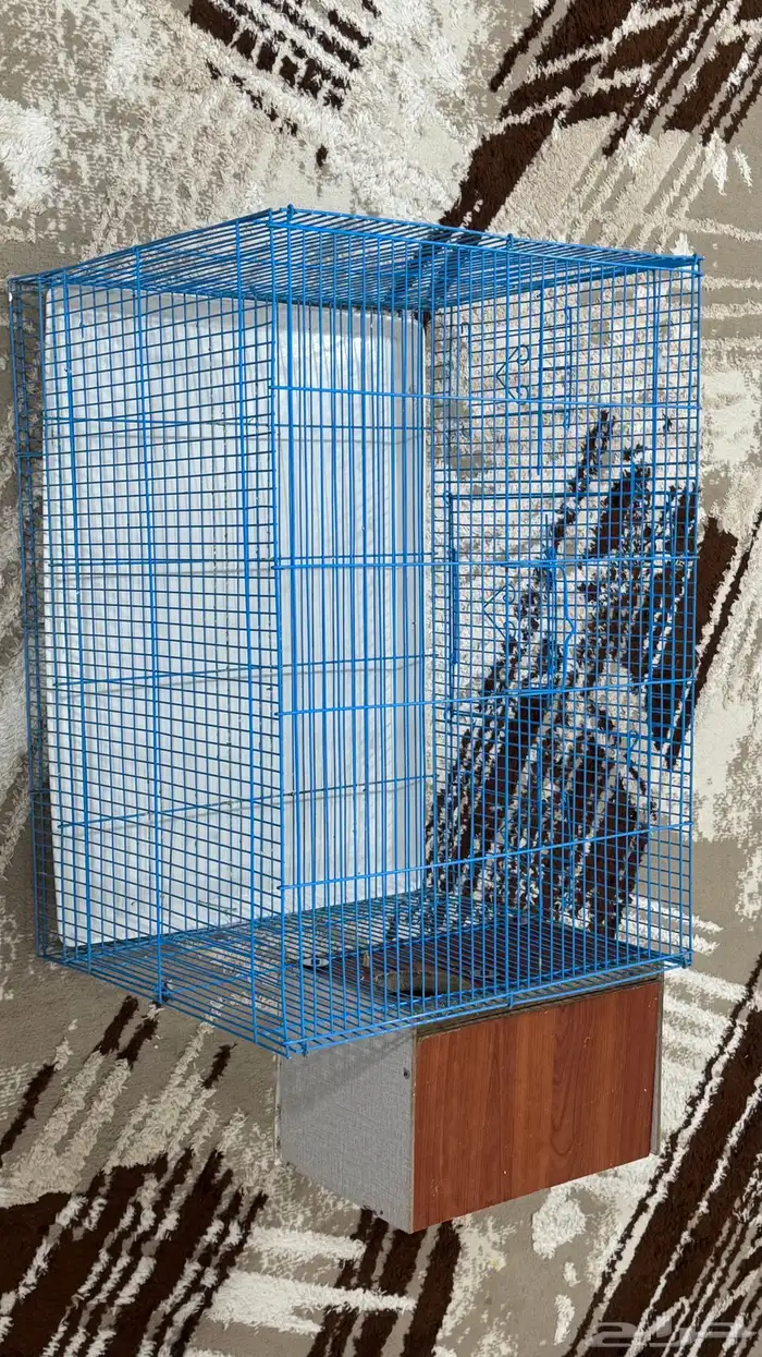 للبيع قفص كبيير مع بياضه 3