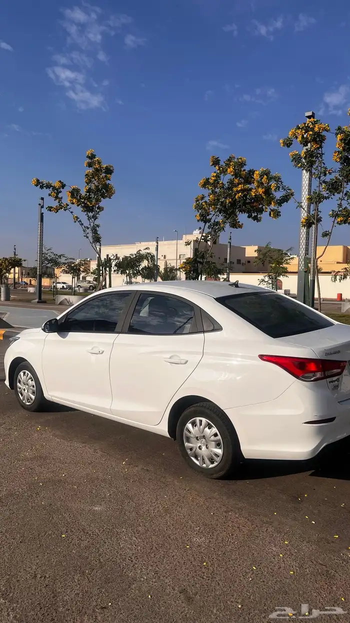 شانجان السفن 2023 نظيف ممشى قليل 3