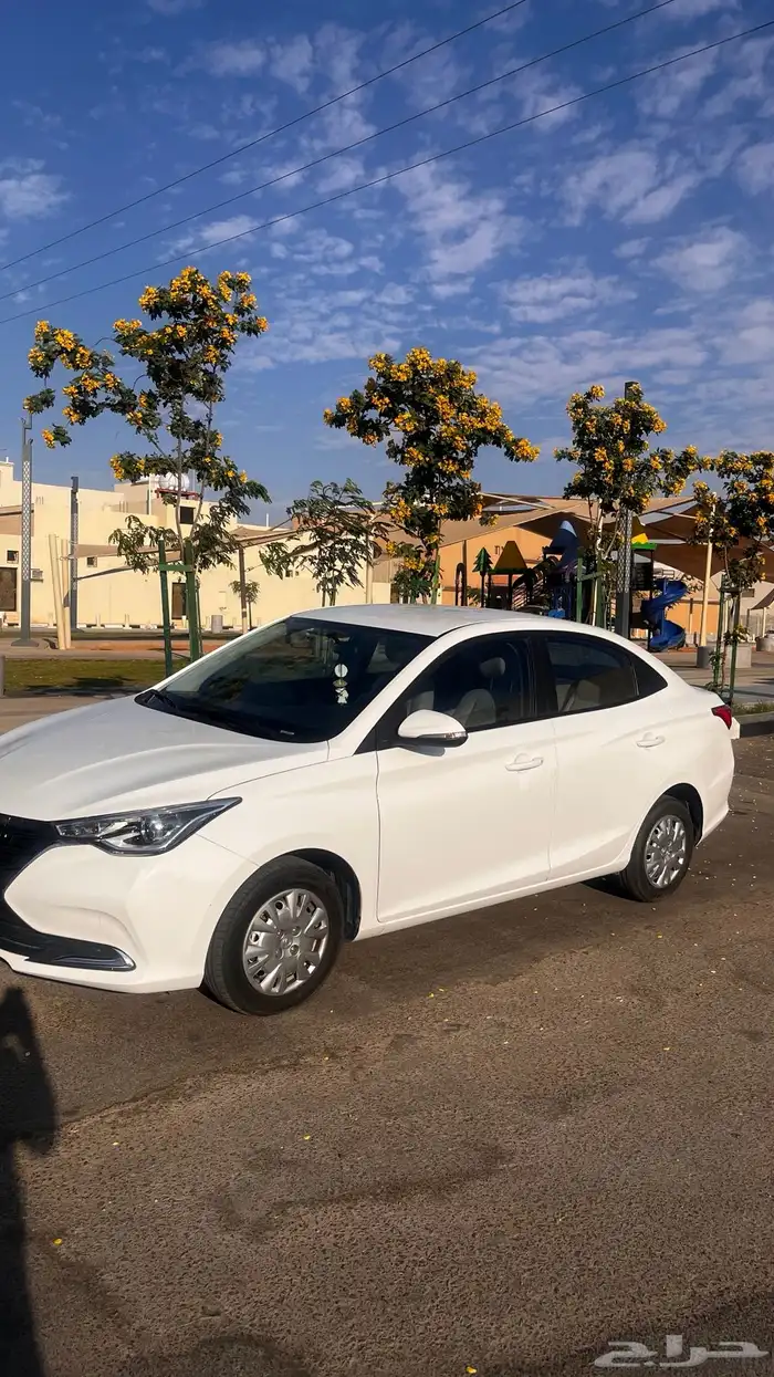 شانجان السفن 2023 نظيف ممشى قليل 2