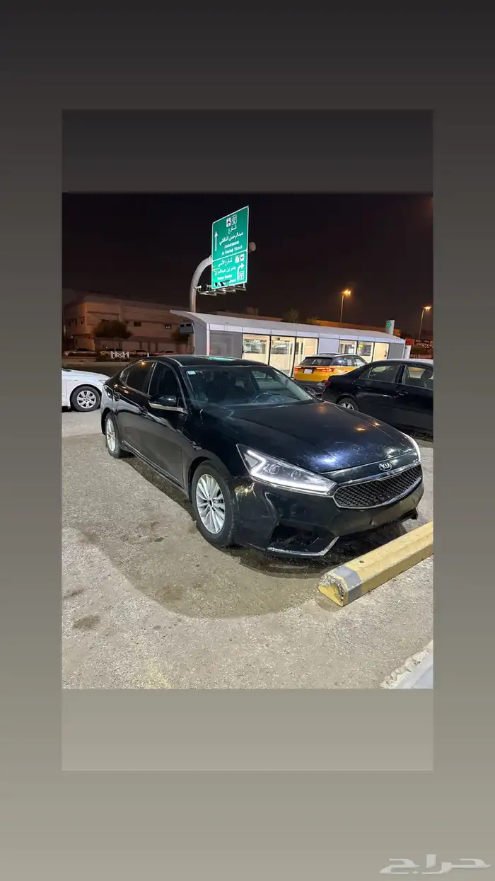 كادينزا 2017 3