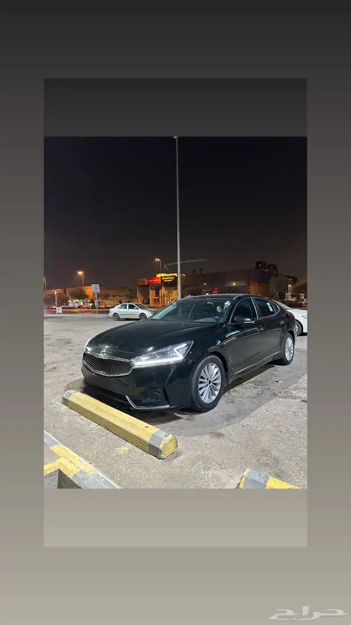 كادينزا 2017 2