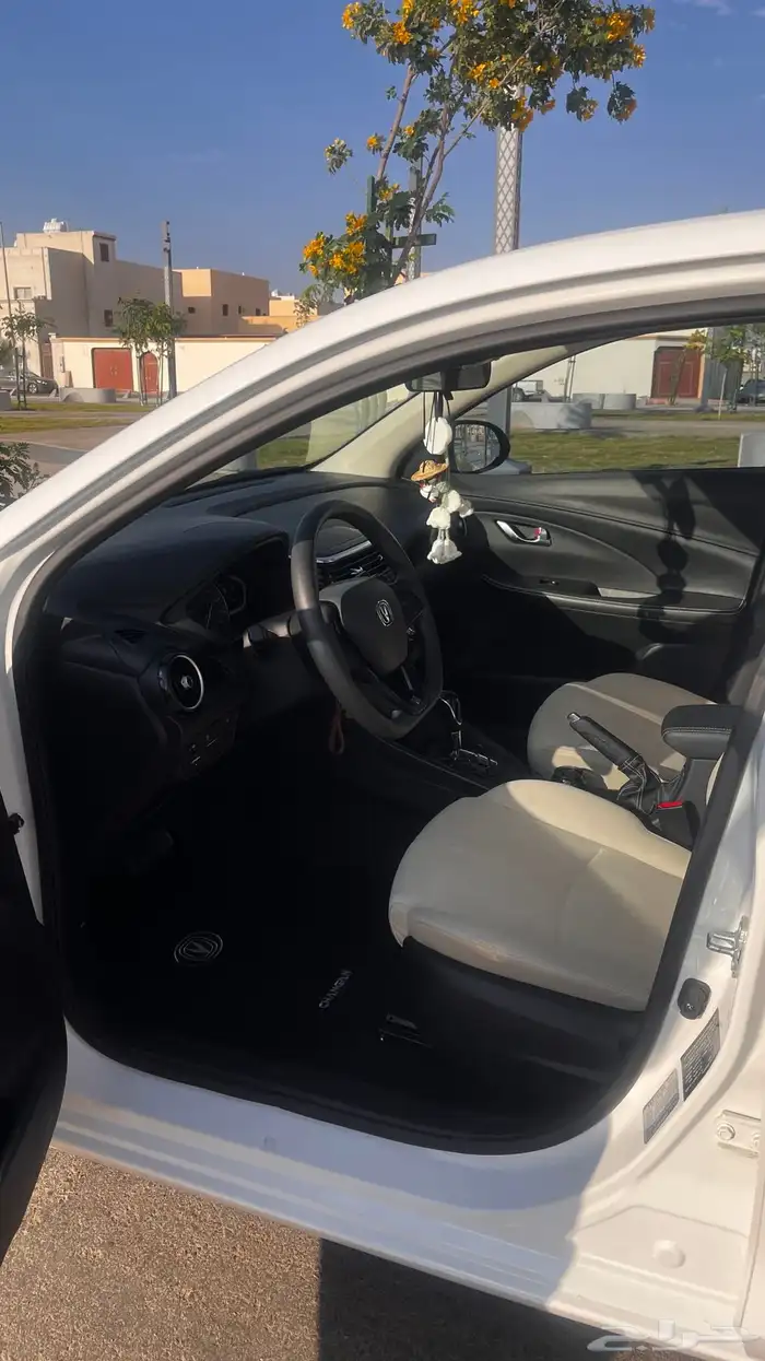 شانجان السفن 2023 نظيف ممشى قليل 9