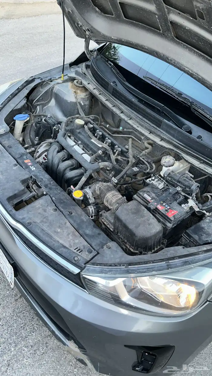 لبيع بيجاس 10