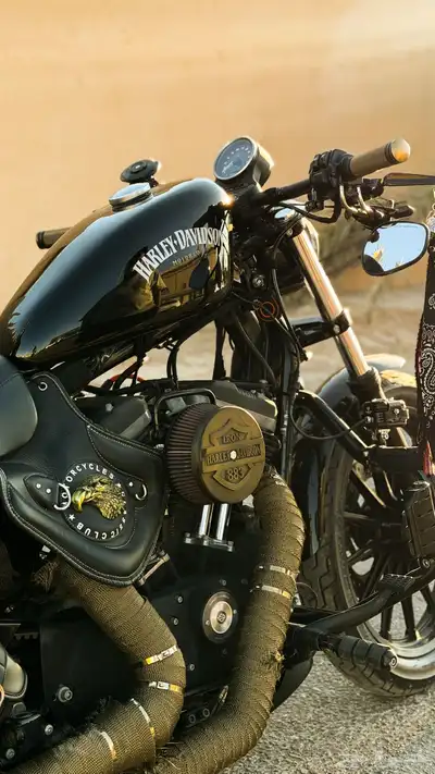 دباب هارلي سبوستر Iron883 index