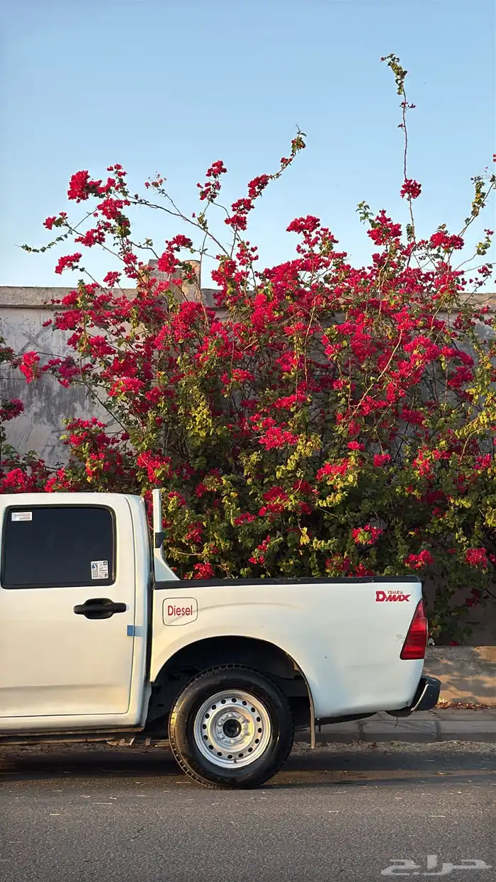 ايسوزو ديماكس نظيفه 0