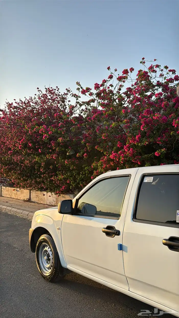 ايسوزو ديماكس نظيفه 1