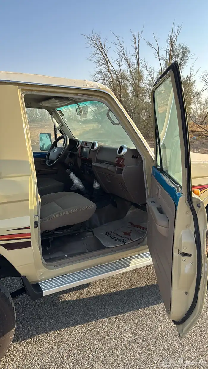 جيب ربع 2010 بريمي 5