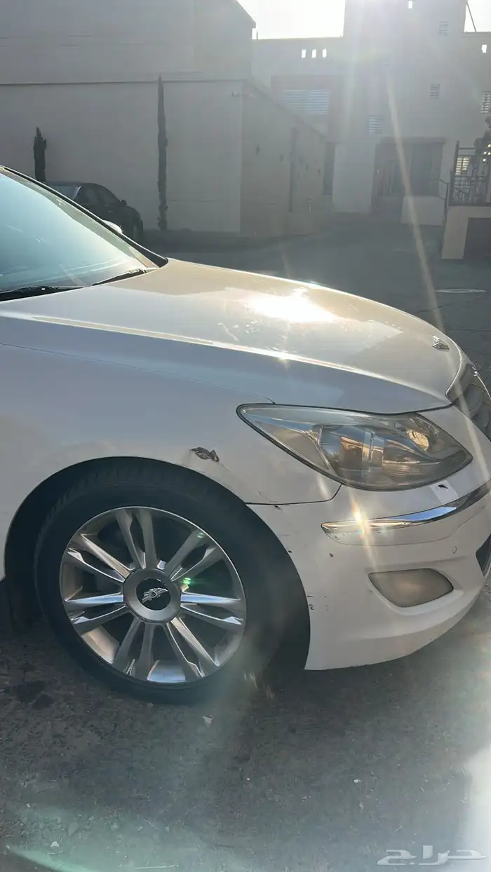 جنسس 2013 للبيع 6