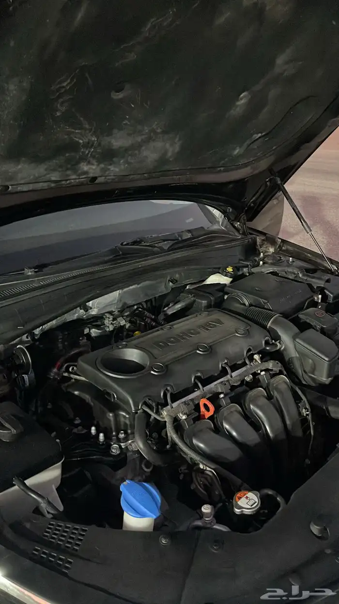 للبيع ابتما 2019 نص فل 22