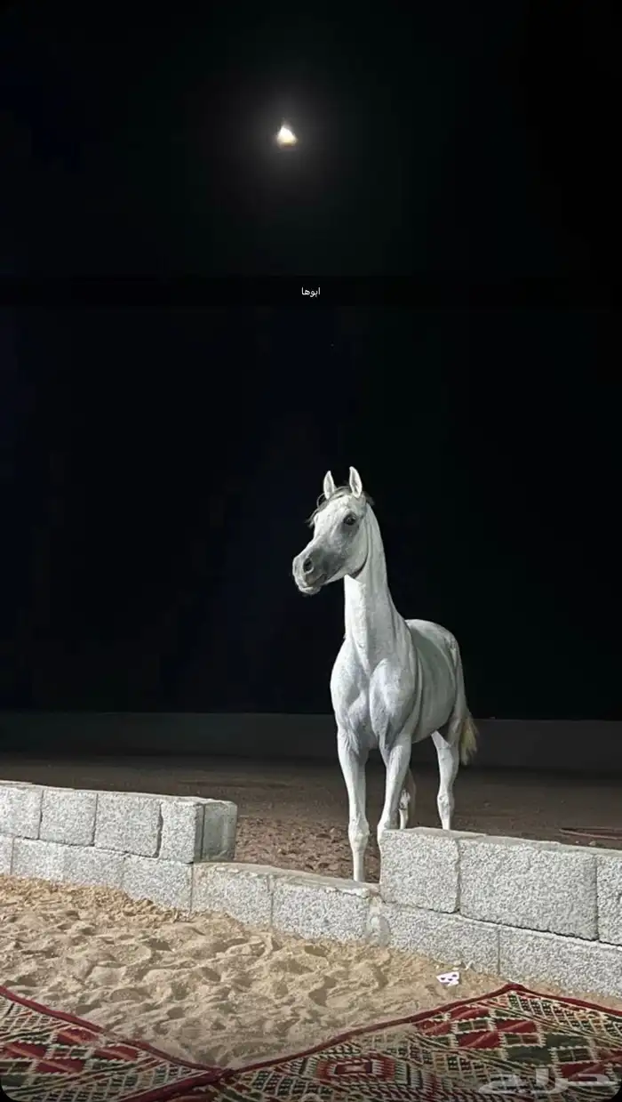 مهره شعبيه 2