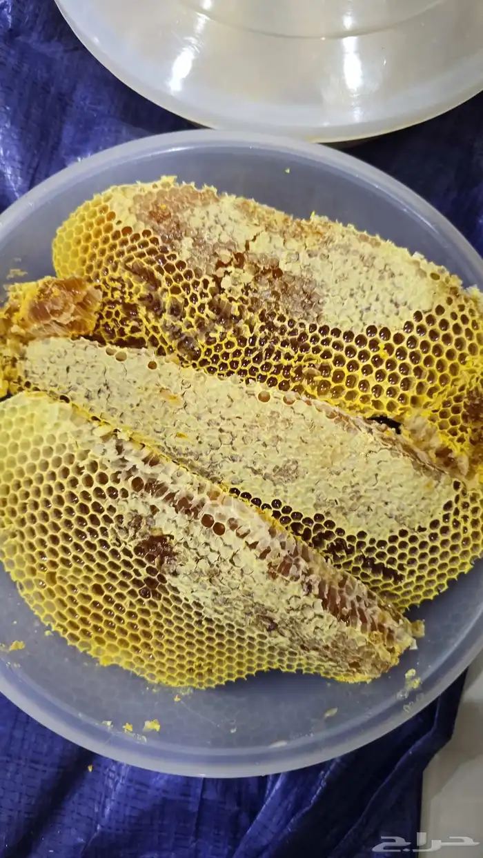 عسل اصلي ومضمون 1