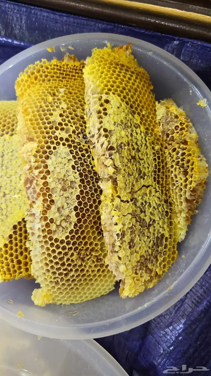 عسل اصلي ومضمون 2