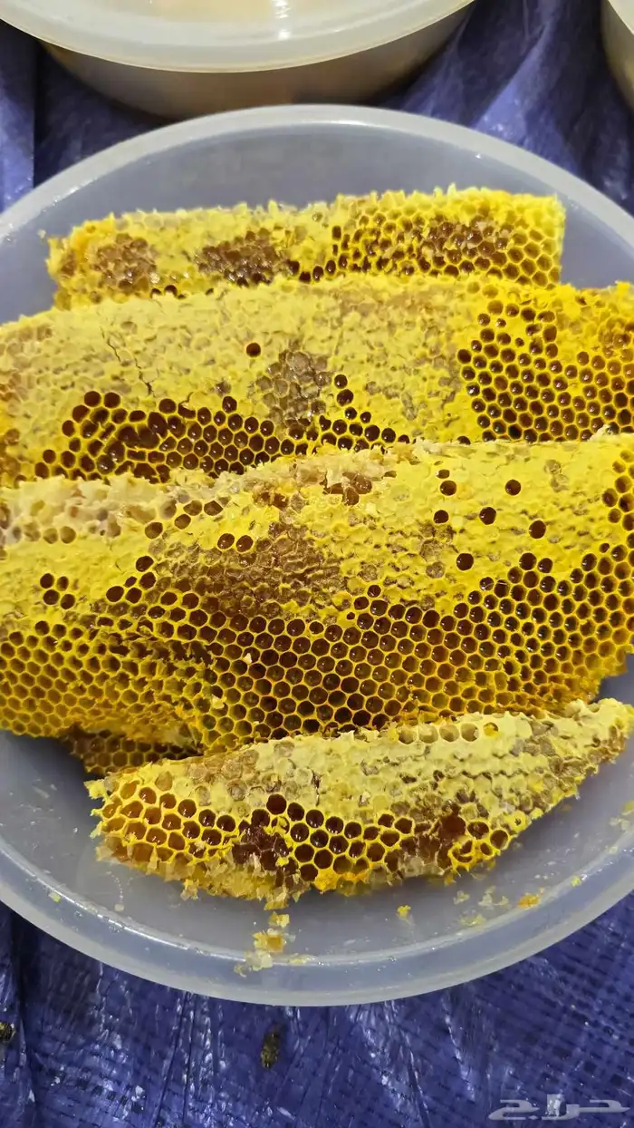 عسل اصلي ومضمون 3