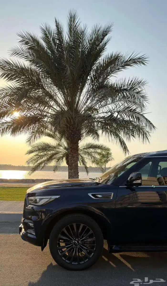 انفنتي 2021 QX80 مخزن شبه جديد عداد17 الف فقط 5