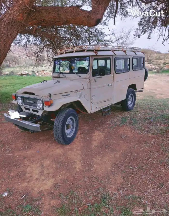 مقفص طويل مديل 82 مخزن 0