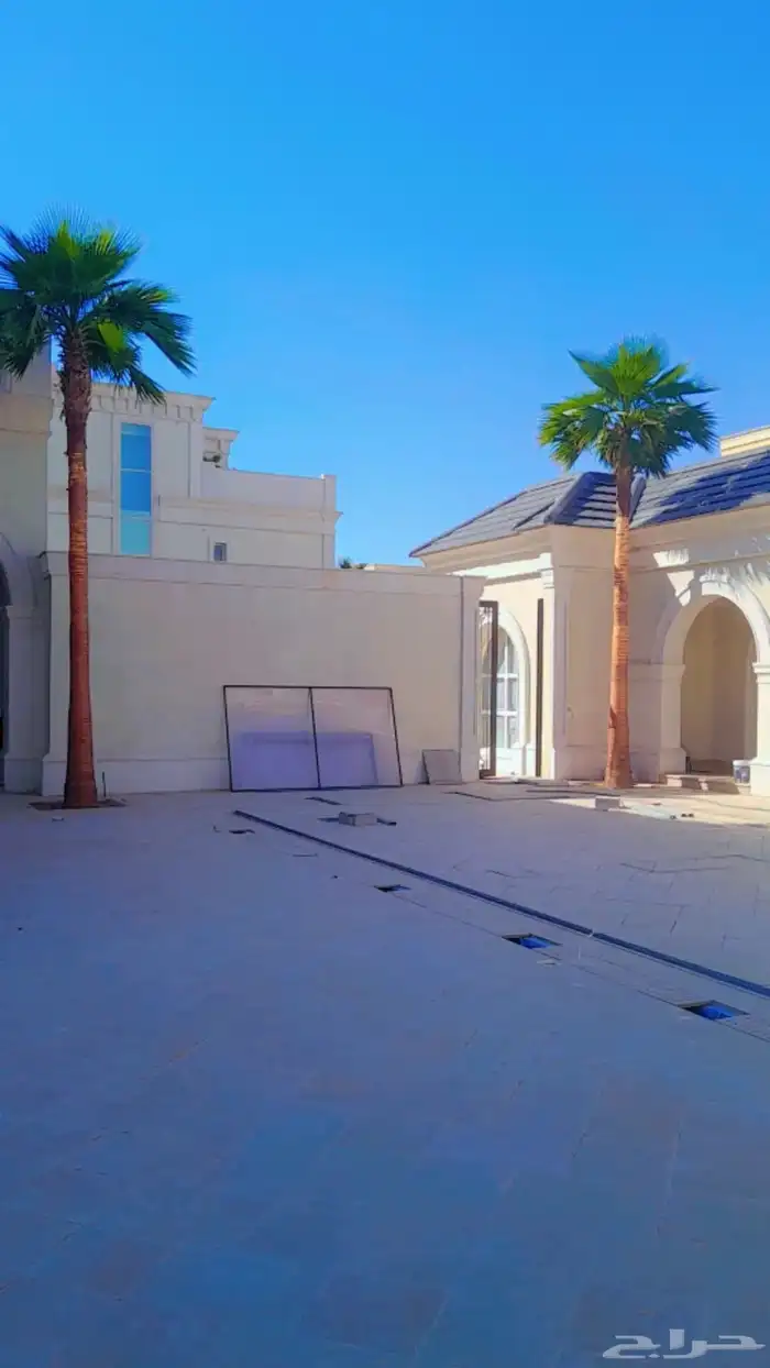 نخيل وشنطنيا امربكي زينه 6